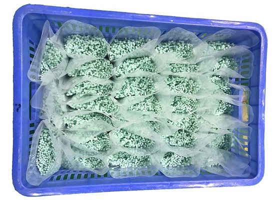 購入 わずかな緑に120度2.5mmナイロン ケーブルのタイ達しなさい online manufacture